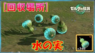【ゼルダの伝説ティアキン】「水の実」が大量に入手できる場所。野生で50個くらい回収できます