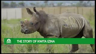 Discover Rwanda: The Story of Kwita Izina