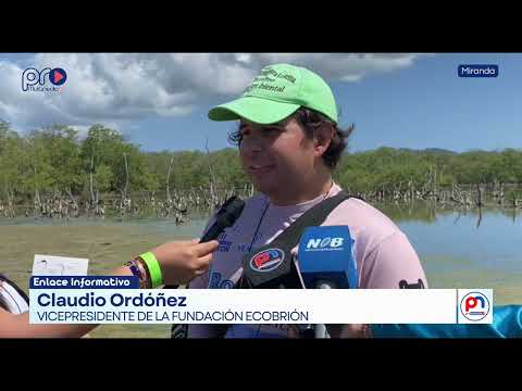 Brión se convierte en epicentro de la ciencia ciudadana con el Global Big Day desde Laguna La Reina