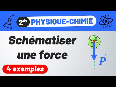 SCHÉMATISER des FORCES (Gravitation, poids, réaction du support, tension d'un fil) | Physique-Chimie