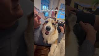 A man’s true nature shows in how he treats his dog