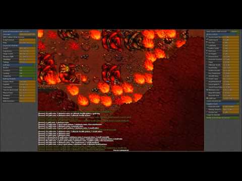 [iB+] Yalahar West Demons for Paladins by Eli Scripts