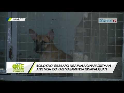 One Western Visayas: Ginapagut-man ang mga ido sa Iloilo City dog pound?