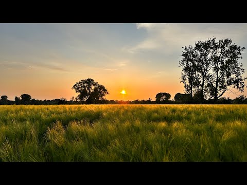 Bicycle Diaries: Pentecost Sunday ride along the Rhine River in Düsseldorf Germany