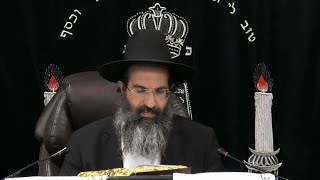 הלכות צדקה - לה' - קופה, תמחוי וגבאי ראוי 💰 יורה דעה - סימן רנה - רנו | חלק 398 | הרב שי עובד (הרב שי עובד) - התמונה מוצגת ישירות מתוך אתר האינטרנט יוטיוב. זכויות היוצרים בתמונה שייכות ליוצרה. קישור קרדיט למקור התוכן נמצא בתוך דף הסרטון