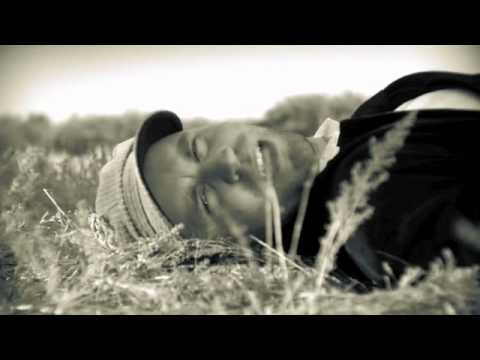 birds / The Mainstream