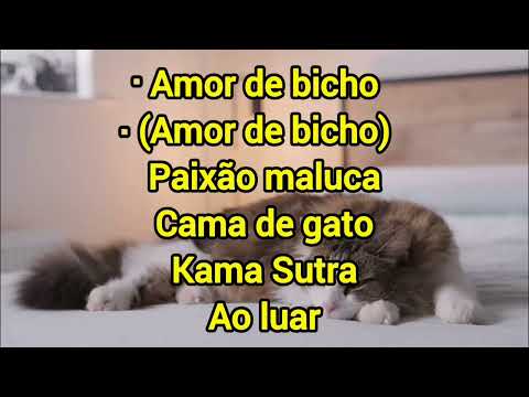 Fora da lei 2 - Ed Motta -Karaokê - Com backing