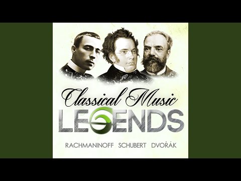 String Trio in B-Flat Major, D. 581: I. Allegro moderato