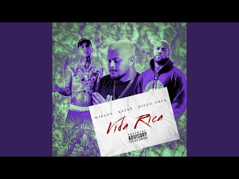 Vida Rica