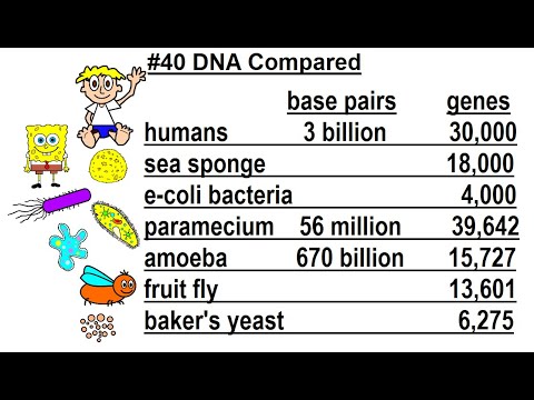 Can You Believe It 27 What is Time