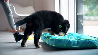 Ferplast (Ферпласт) Polo Cushion Brown подушка из влагостойкой ткани для собак (коричневый)