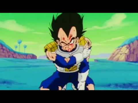 Tfs- Goku And Vegeta Funniest Moments!