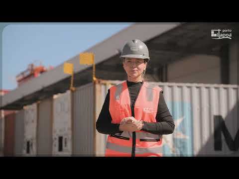 Porto de Itapoá — Consultoria