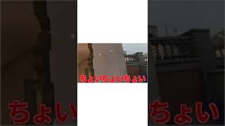それが出来るなら最初からやれ！！！！