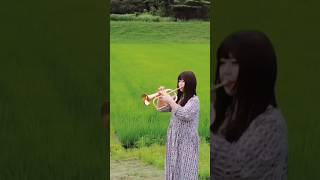 Download lagu 田舎に帰りたくなる曲【小さな旅】#トランペット #演奏してみた #trumpet #trumpetmusic #flugelhorn #吹奏楽 mp3 Download lagu 田舎に帰りたくなる曲【小さな旅】#トランペット #演奏してみた #trumpet #trumpetmusic #flugelhorn #吹奏楽 mp3