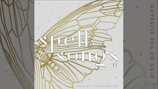 Bird of the Blizzard, from Spell Songs II: Let The Light In