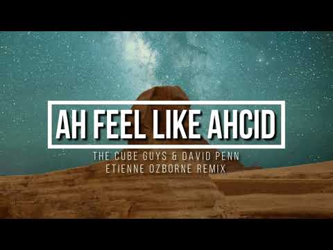 The Cube Guys & David Penn - Ah Feel Like Ahcid (Etienne Ozborne Remix)