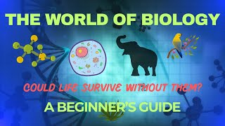 Could Life Survive Without Them!? The living World.