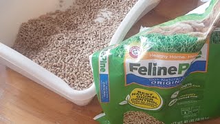How I sift Feline Pine (pellet litter) without a sifting tray