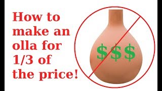 How to an Olla for dirt cheap! DIY earthen permaculture water saving irrigation