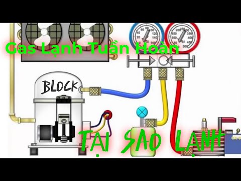 QUY TRÌNH TUẦN HOÀN CỦA GAS LẠNH TRONG KHO ĐÔNG LẠNH CHUYÊN NGHIỆP. NHỮNG ĐIỀU BẠN ĐÃ BIẾT.