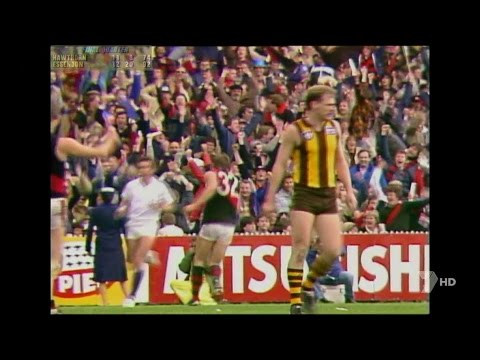 VFL 1984 Grand Final Hawthorn Vs Essendon