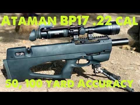 Ataman BP17 Review and Accuracy Test 50, 100 yards!
