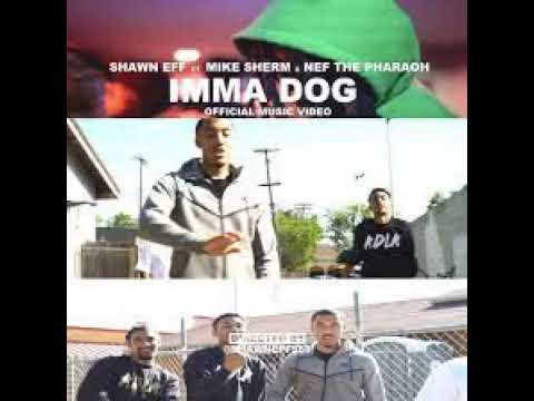 Shawn Eff - Imma Dog ft. Mike Sherm & Nef the Pharaoh CLEAN