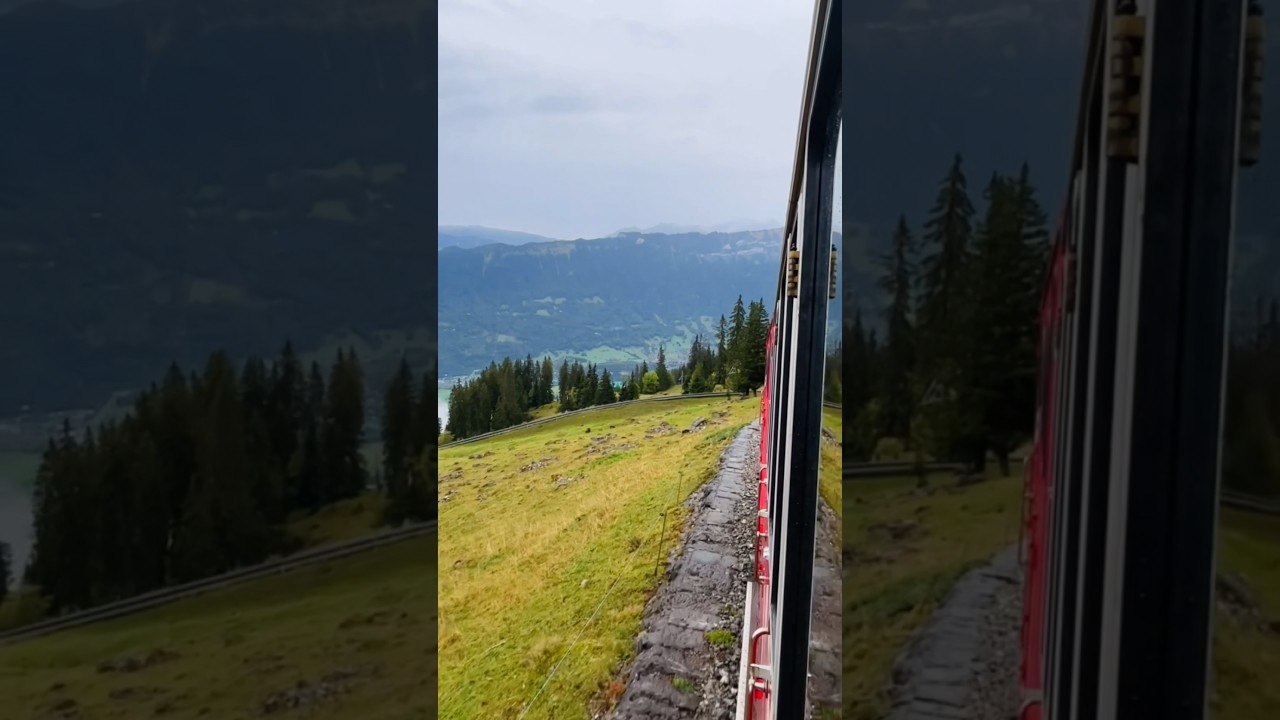 YouTube Short thumbnail