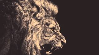 Preditah vs Solo 45 - Feed them to the Lions (1Xtra clip)