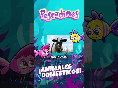 Yo quiero un loro