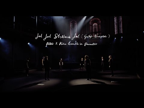 Pitou & Kobra Ensemble in Paradiso - Jul, Jul, Strålande Jul