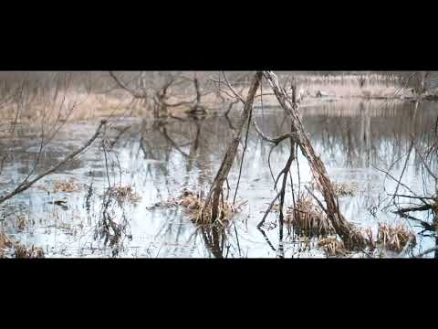 LBR • Morning Freestyle