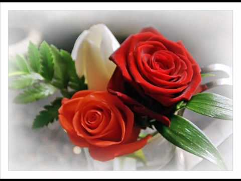 Moj Behare Snežana Djurišić