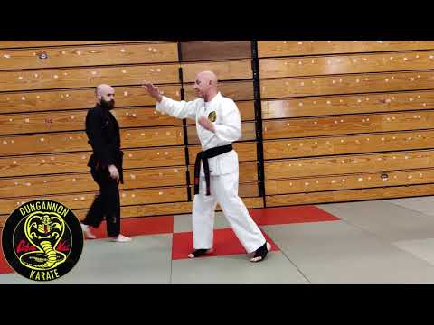 Chinto Bunkai Drill 13