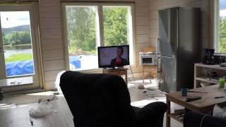 Ett fullkomligt kaos