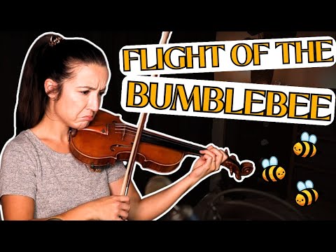 Can I Learn The Fastest Violin Piece In The World?! | 1 Min/10 Min/1 Hour Challenge