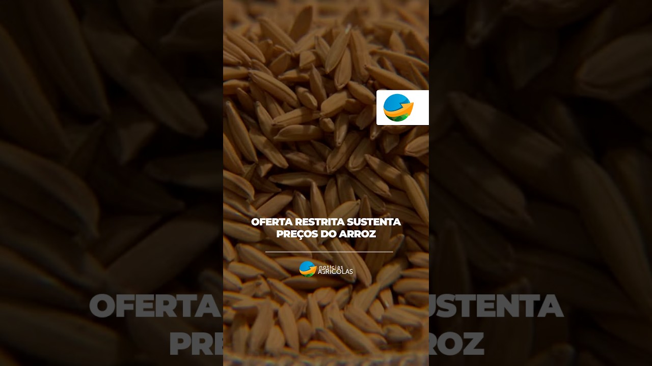 Disponibilidade restrita de arroz em casca