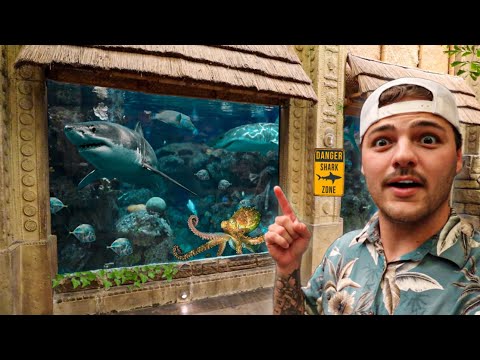 Visiting LARGEST AQUARIUM’S I can find on MAPS!!