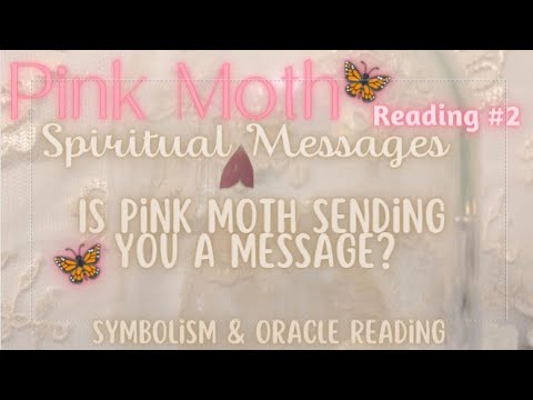 Pink Moth Reading #2 ✨ Symbolism, Spiritual Meaning and Oracle Reading~Southern Pink Moth