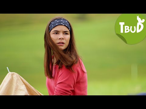 Die Schafe sind los! (Folge 101) | Tiere bis unters Dach