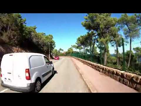 Émotion croiser fruit ensemble taihe 00025