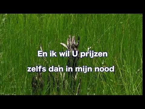 Opwekking 392 Mijn Jezus