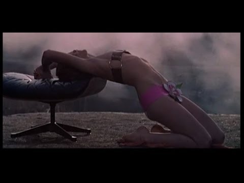 Le Couleur - Femme (Official Video)