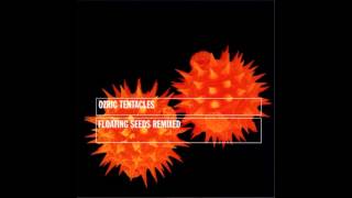 Ozric Tentacles - Strangeitude (Eat Static Remix)