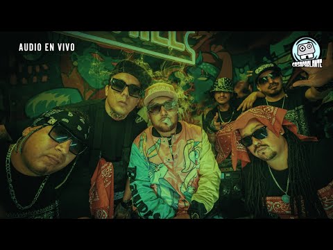 CASAPARLANTE: SHAMANES | No me dejes - Niños de barrio - Prisionera - Lejos de ti .EnVivo