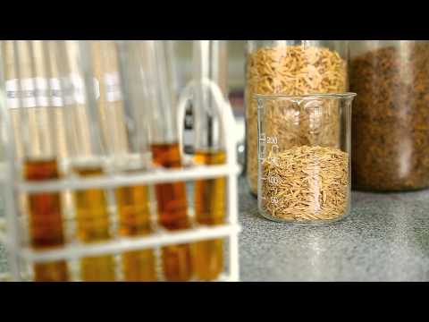 USM - Creación Compost