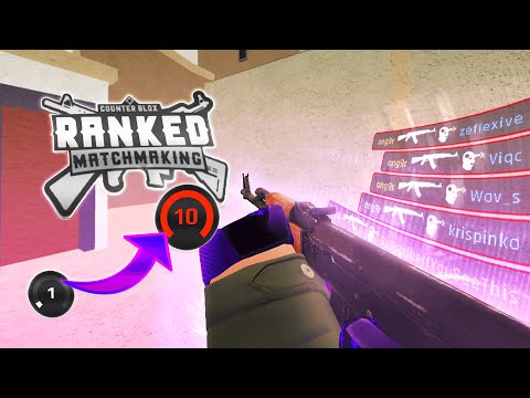 Faceit Level 10 in Counter Blox?