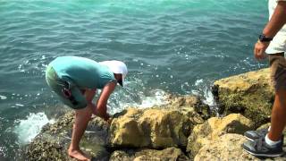 preview picture of video 'Snook At Fort Pierce Jetty'