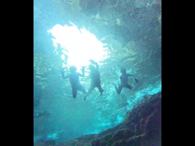 イラブルーツアーズ